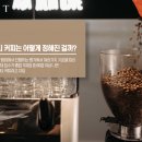 분당스페셜티커피학원 네이버블로그