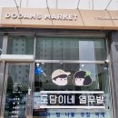 도담이네 이미지