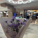 부산 공연/현악4중주/콰르텟/부산호텔농심/캔들라이트 후기