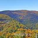 단풍 - 관악구 신림동길 25 | 단풍