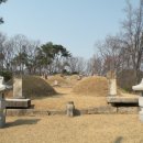 방학동 은행나무 이미지