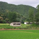 법전초등학교 이미지