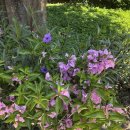 규환농장 이미지