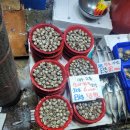 광성상회 이미지