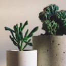 (주)시어스제약 이미지