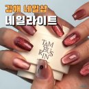 삼계중앙로 | 김해 네일샵 김해 삼계 네일 신상자석젤 네일라이트