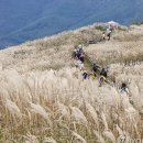 은빛모텔 이미지