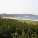 망망대해