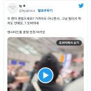 난리난 아이돌 공항 경호 수준 ㄷㄷ 이미지