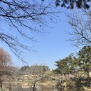 버들1길 | 태안 천리포수목원 목련축제 4월 초 방문 후기 +입장료 정보