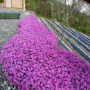 잘되는공인중개사사무소 이미지