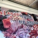 지혜횟집 이미지