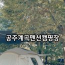 봉순펜션 | 강아지 동반하기 좋은 마곡사 계곡 캠핑장 공주계곡펜션캠핑장ㅣ사이트 추천ㅣ(Feat. 2025 공주백제...