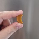 밤이 낮이 된다는 것 | 밤에 먹는 강아지 올인원 영양제 조공 이지케어 나이트 솔직 후기