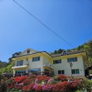 내린천펜션계곡사랑 이미지