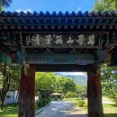 무량사 | 지친 마음을 달래기 좋은 곳 : 부여 무량사 템플스테이 솔직후기