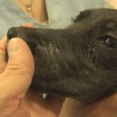 희대농장 이미지