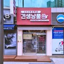 견생냥품 이미지