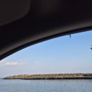 조용한생활 민박 | 영덕 대게 현지인 맛집 추천 겨울바다와 택배까지 만족