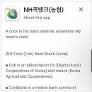 NH cock bank app(ㅈ지아님) 이미지