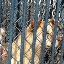 달성공원 이미지