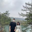 바인블루 이미지