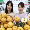 한아름할인마트 이미지