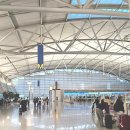 물고기익스프레스 | 홍콩익스프레스 항공 후기, 인천공항과 홍콩공항 탑승기
