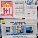 W·코끼리안경콘택트렌즈 이미지