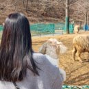 늘솔길공원화장실 이미지