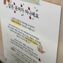 사랑해타코야끼 이미지