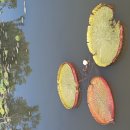 9월초하루 출석부 이미지