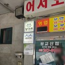 뚝배기옻닭 | 수원 세류동 맛집 송할머니 옻닭집 본점 내돈내산 재방문 후기