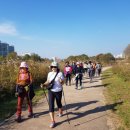 노르딕워킹 이미지