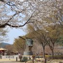 대가야농촌체험특구 관리사무소 이미지