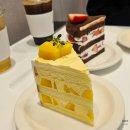 단골병원 | 아주대/아주대병원 케이크🍰 맛집 &#39;슬로위&#39; 찐단골 후기 (망고케이크 백만 번 추천)