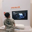 원주역사박물관 | 원주 아이와 가볼만한곳 국립강원전문과학관 특별전시까지 만족했던 과학관