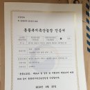 알찬유정란