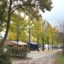 연천세계캠핑체험존 - 야영장 이미지