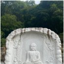 천년숲동로/천년숲서로(남) | 양평 용문사 대웅전에 부처님이 사라졌다!!