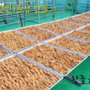 참좋은건강원 이미지