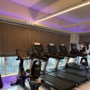 현대자동차정발산점 이미지