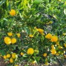 유라농장 이미지