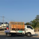 제주 와일드 | N년차 제주도민, 만만한녀석들에서 살아남기 / 제주 와일드오차드 티 페스티벌 행사 설치 후기