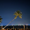 오즈텍 | [리젠트푸꾸옥맛집] 오션클럽 내돈내산 후기