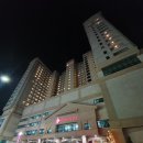 강릉스마일찰진꽈배기 이미지