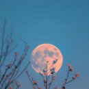 성주농장 이미지