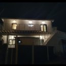 달시플러스 이미지