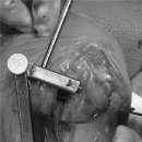 코끼리동물병원 이미지