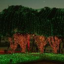 돌산공원 이미지